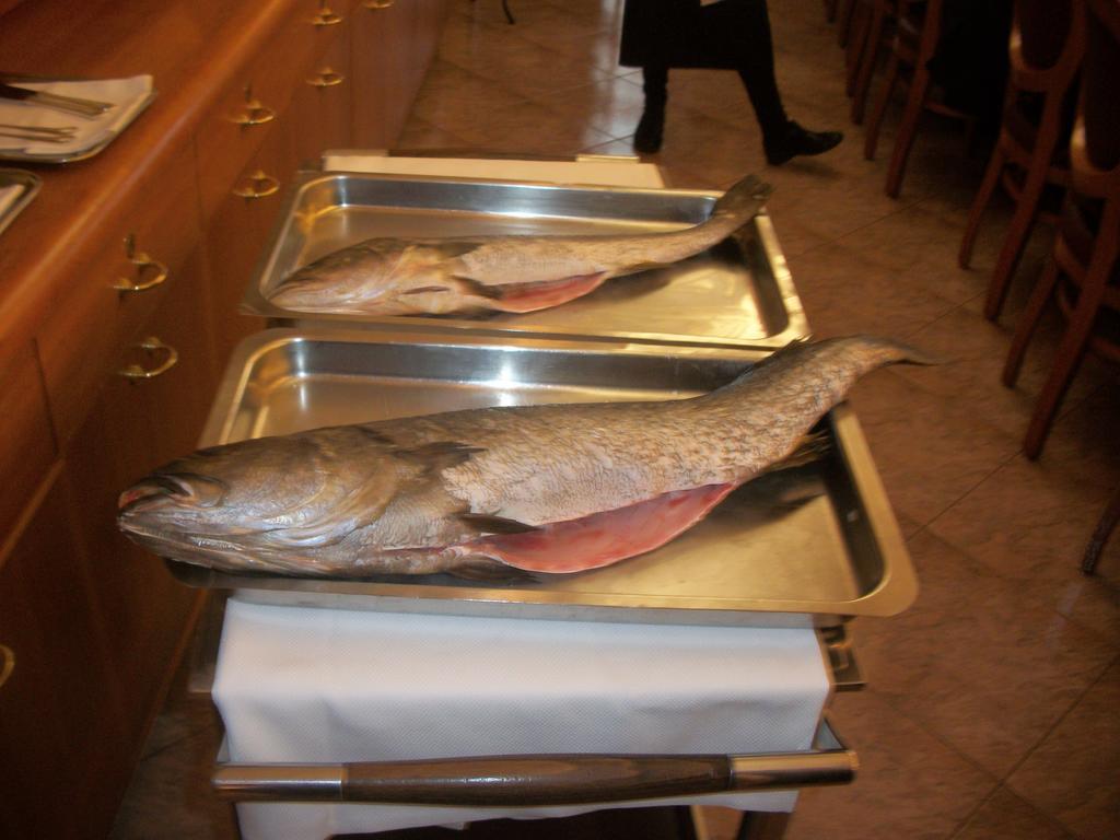 Albergo Ristorante Belvedere Codroipo Dış mekan fotoğraf